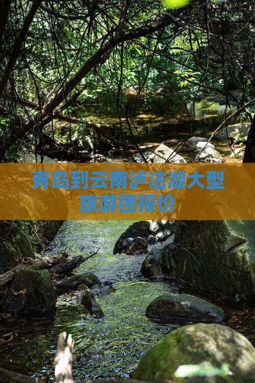 青岛到云南泸沽湖大型旅游团