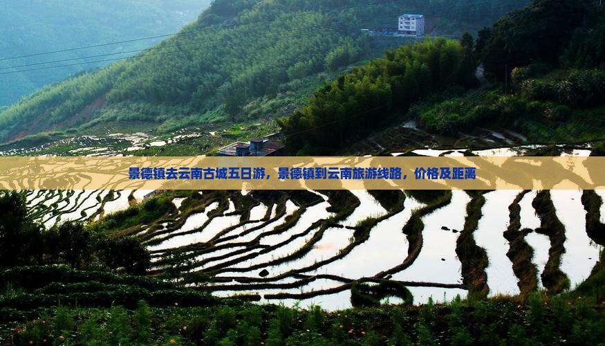 景德镇去云南古城五日游