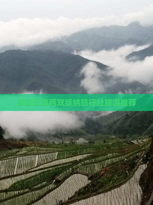 深圳去云南西双版纳旅行社