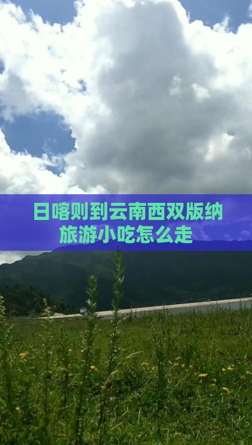 日喀则到云南西双版纳旅游小吃