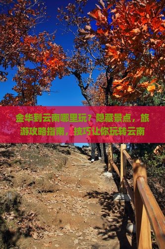 金华到云南哪里玩