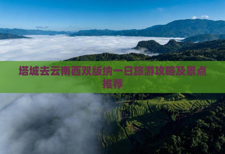 塔城去云南西双版纳一日