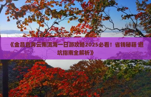金昌到云南洱海一日