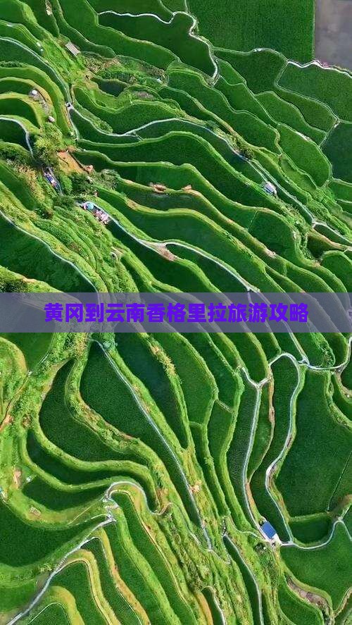 黄冈到云南香格里拉团体旅游