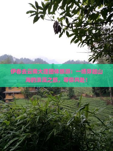 伊春去云南大理团体旅游