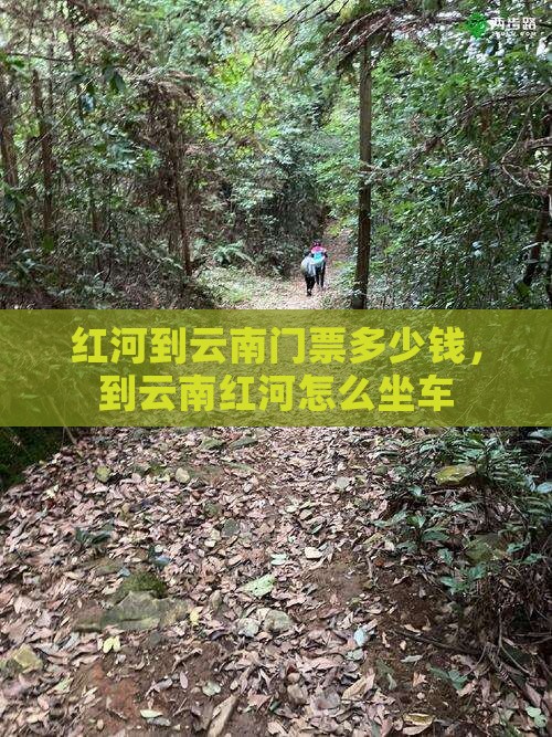 红河到云南门票