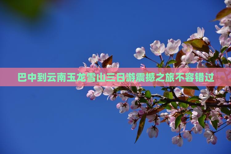 巴中到云南玉龙雪山三日游