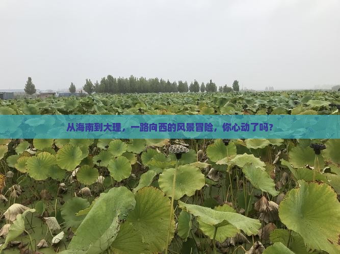 从海南到大理，一路向西的风景冒险，你心动了吗？