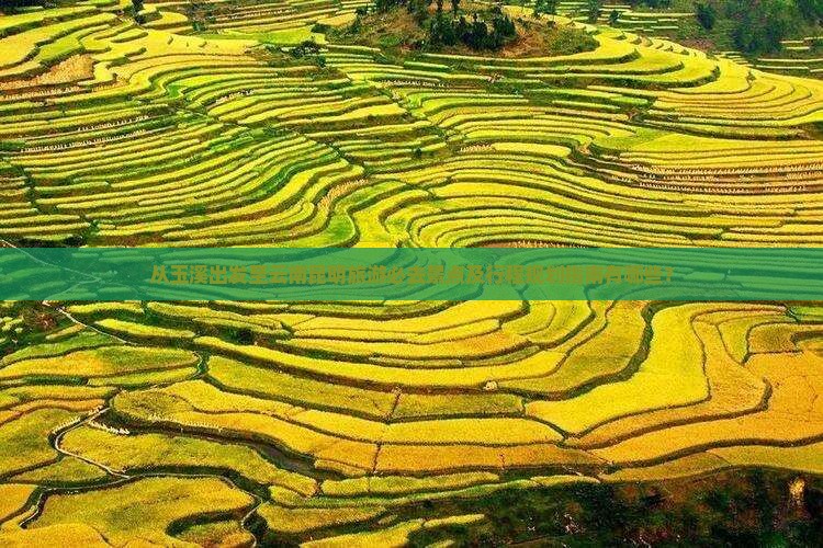 从玉溪出发至云南昆明旅游必去景点及行程规划指南有哪些？