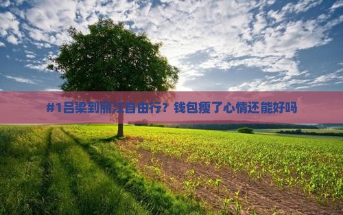 #1吕梁到丽江自由行？钱包瘦了心情还能好吗