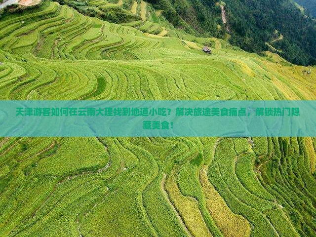 天津游客如何在云南大理找到地道小吃？解决旅途美食痛点，解锁热门隐藏美食！