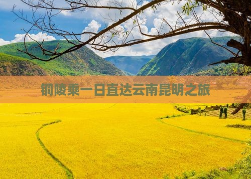 铜陵乘一日直达云南昆明之旅