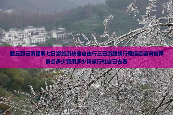 商丘到云南昆明七日游旅游攻略自由行三日游路线行程信息咨询推荐景点多少费用多少钱旅行社自己去看