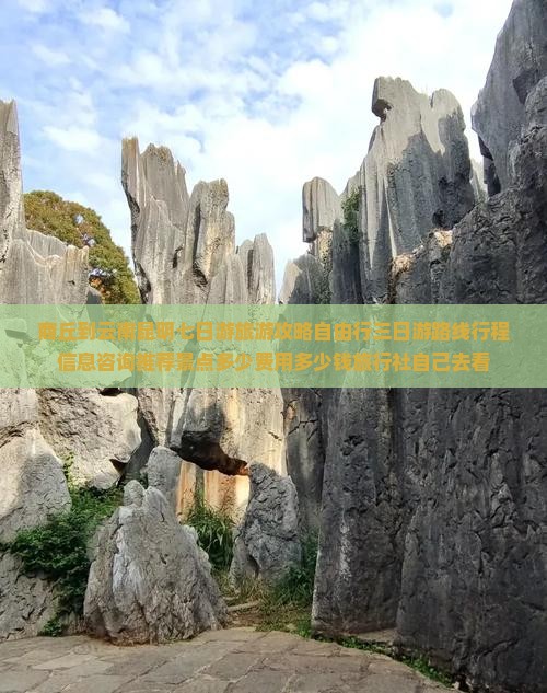 商丘到云南昆明七日游旅游攻略自由行三日游路线行程信息咨询推荐景点多少费用多少钱旅行社自己去看