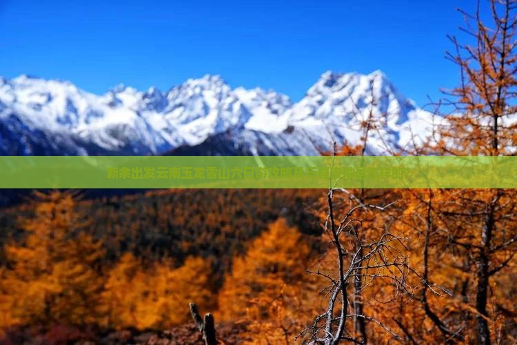 新余出发云南玉龙雪山六日游攻略及行程安排是怎样的？
