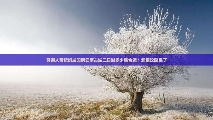 普通人带爸妈咸阳到云南古城二日游多少钱合适？超值攻略来了
