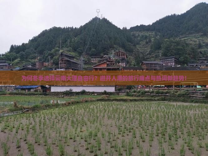 为何冬季选择云南大理自由行？避开人潮的旅行痛点与热词新趋势！