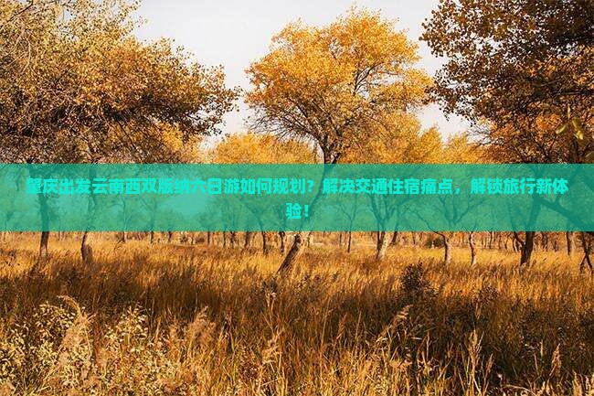 肇庆出发云南西双版纳六日游如何规划？解决交通住宿痛点，解锁旅行新体验！