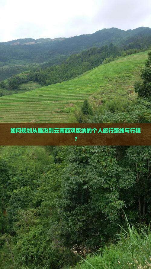 如何规划从临汾到云南西双版纳的个人旅行路线与行程？