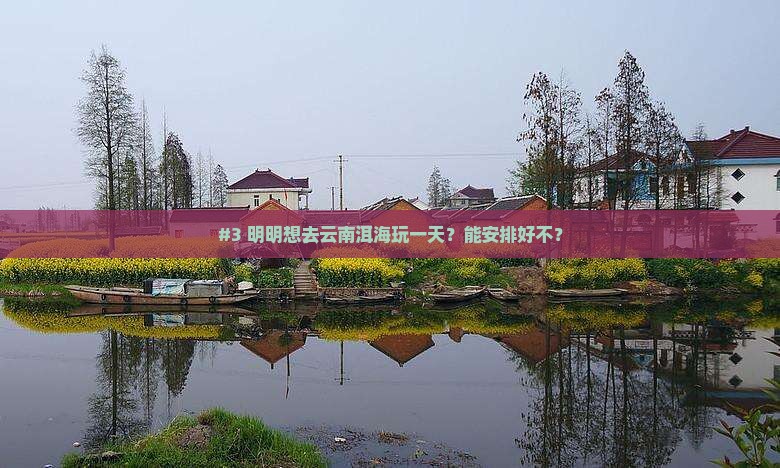 #3 明明想去云南洱海玩一天？能安排好不？