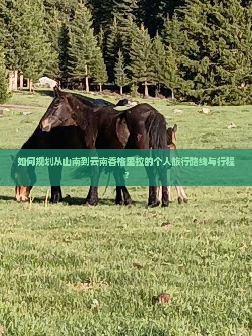 如何规划从山南到云南香格里拉的个人旅行路线与行程？