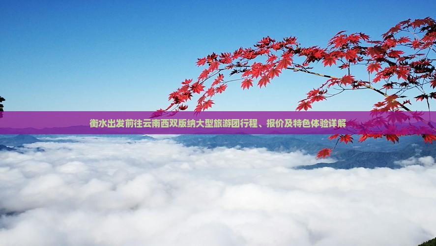 衡水出发前往云南西双版纳大型旅游团行程、报价及特色体验详解