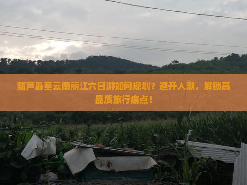 葫芦岛至云南丽江六日游如何规划？避开人潮，解锁高品质旅行痛点！