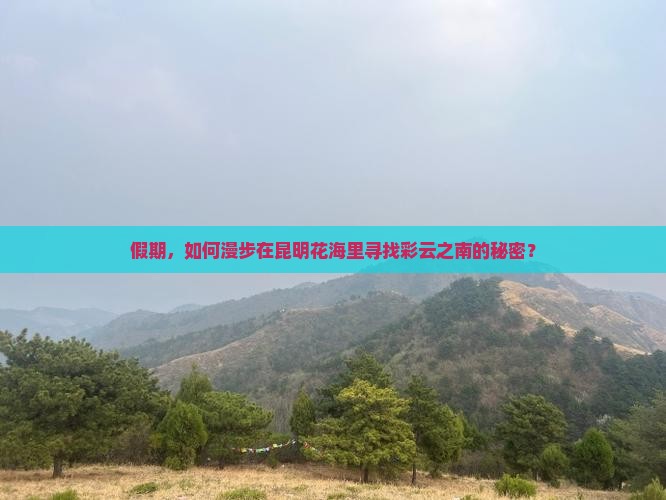 假期，如何漫步在昆明花海里寻找彩云之南的秘密？