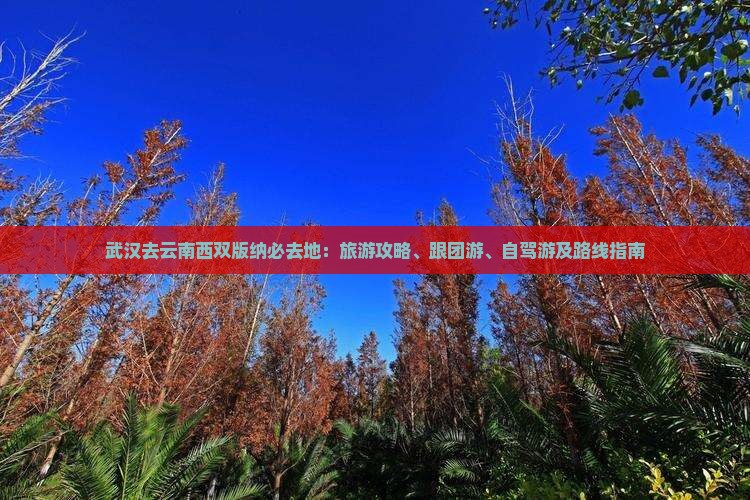 武汉去云南西双版纳必去地：旅游攻略、跟团游、自驾游及路线指南