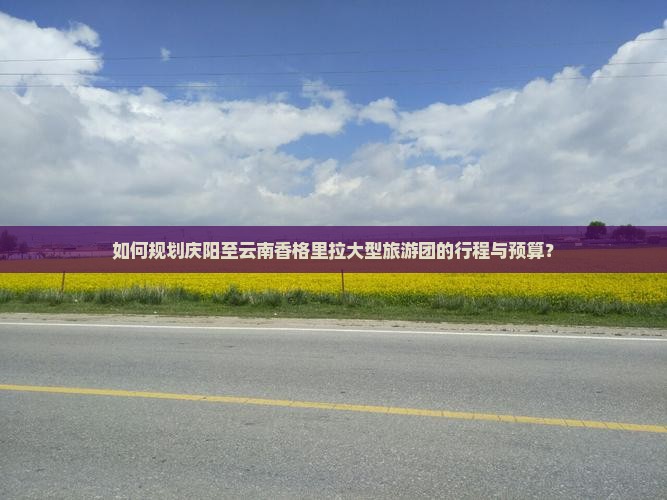 如何规划庆阳至云南香格里拉大型旅游团的行程与预算？