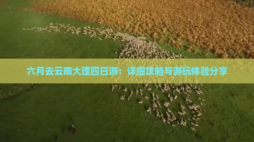 六月去云南大理四日游：详细攻略与游玩体验分享