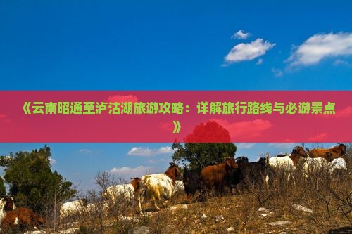 《云南昭通至泸沽湖旅游攻略：详解旅行路线与必游景点》