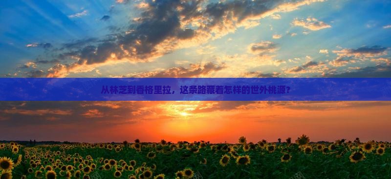从林芝到香格里拉，这条路藏着怎样的世外桃源？