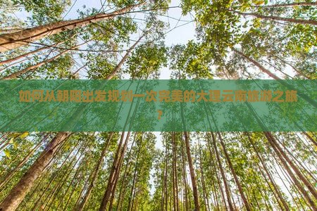 如何从朝阳出发规划一次完美的大理云南旅游之旅？