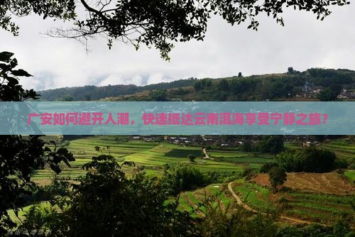 广安如何避开人潮，快速抵达云南洱海享受宁静之旅？