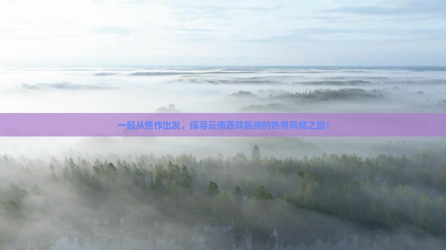 一起从焦作出发，探寻云南西双版纳的热带风情之旅！