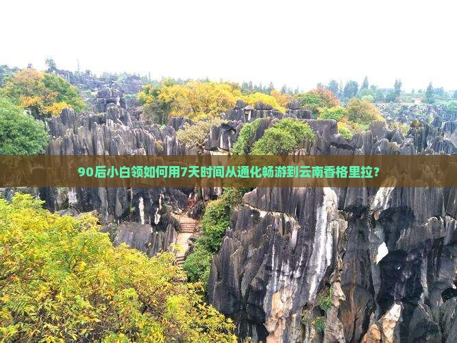 90后小白领如何用7天时间从通化畅游到云南香格里拉？