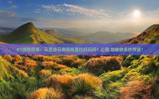 #1游客视角：元旦去云南香格里拉好玩吗？心情+攻略快来抄作业！