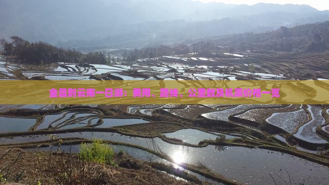 金昌到云南一日游：费用、路线、公里数及机票价格一览