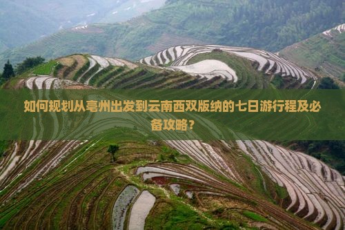 如何规划从亳州出发到云南西双版纳的七日游行程及必备攻略？