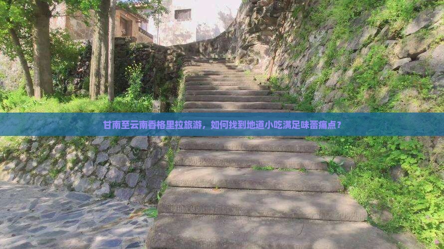 甘南至云南香格里拉旅游，如何找到地道小吃满足味蕾痛点？