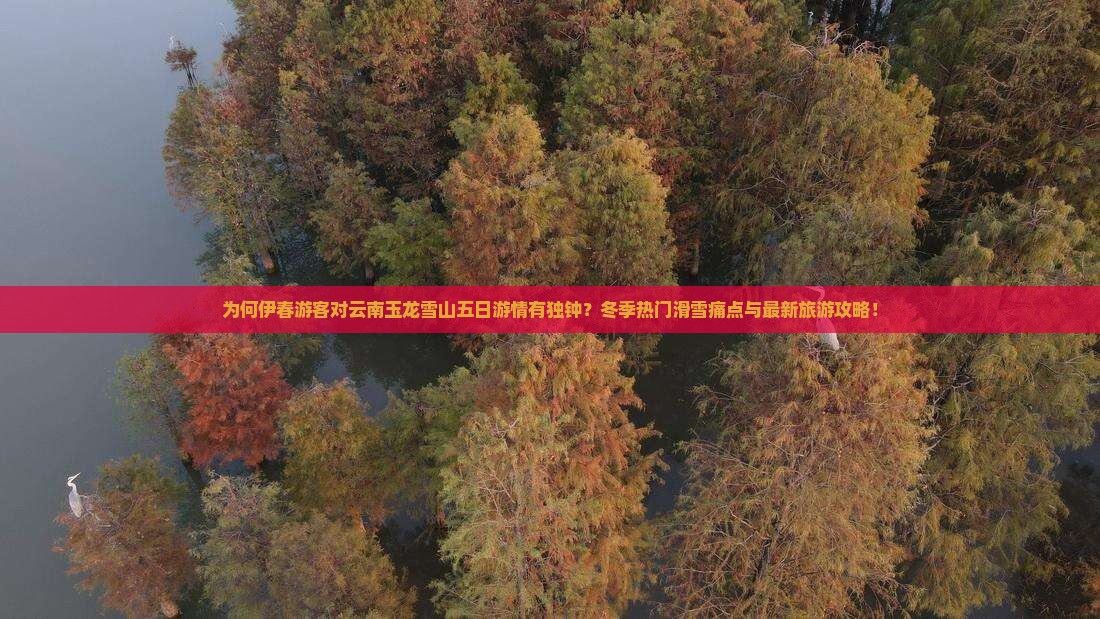 为何伊春游客对云南玉龙雪山五日游情有独钟？冬季热门滑雪痛点与最新旅游攻略！