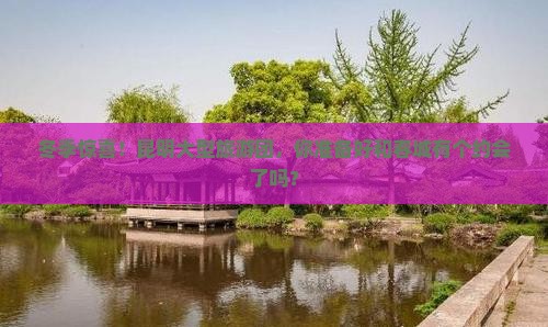 冬季惊喜！昆明大型旅游团，你准备好和春城有个约会了吗？