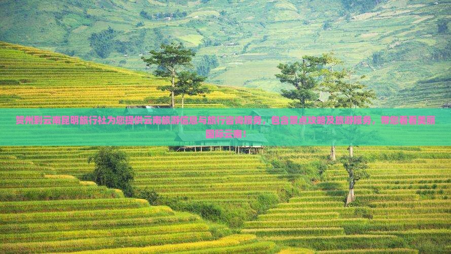 贺州到云南昆明旅行社为您提供云南旅游信息与旅行咨询服务，包含景点攻略及旅游服务，带您看看美丽国际云南！
