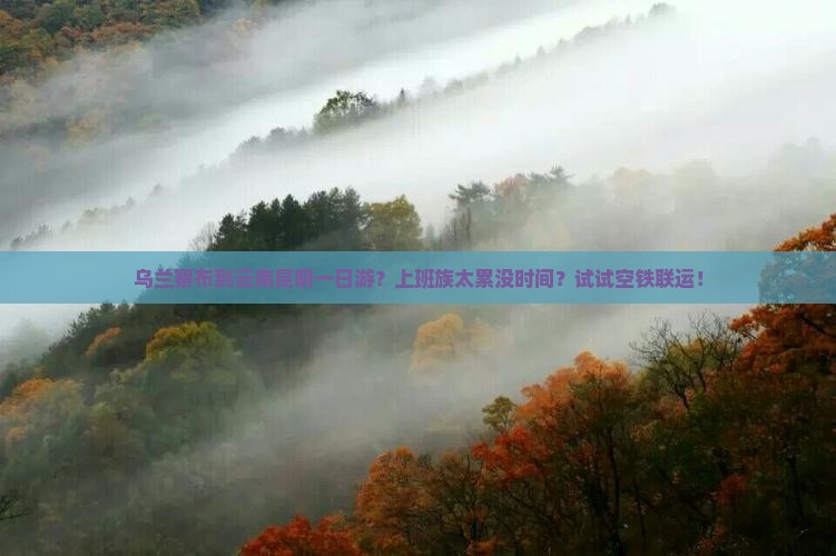 乌兰察布到云南昆明一日游？上班族太累没时间？试试空铁联运！