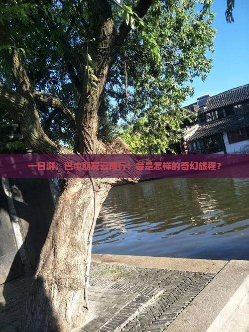 一日游，巴中朋友云南行：会是怎样的奇幻旅程？
