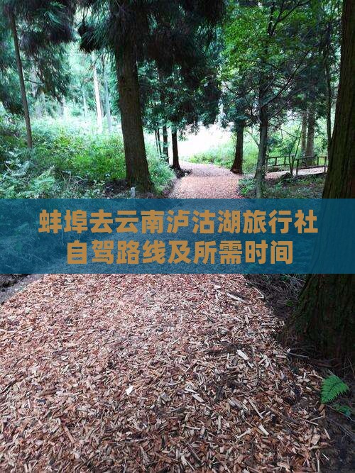 蚌埠去云南泸沽湖旅行社自驾路线及所需时间
