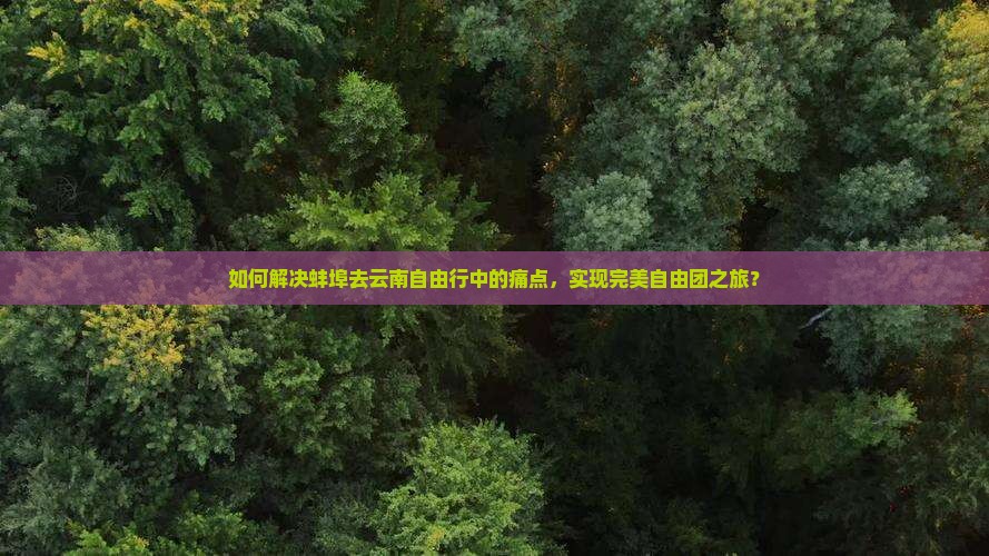 如何解决蚌埠去云南自由行中的痛点，实现完美自由团之旅？