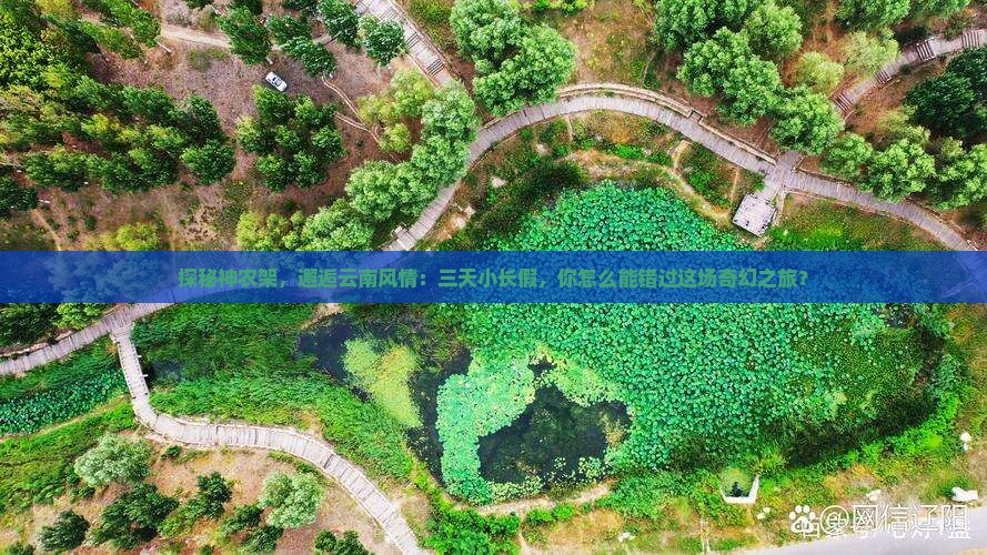 探秘神农架，邂逅云南风情：三天小长假，你怎么能错过这场奇幻之旅？