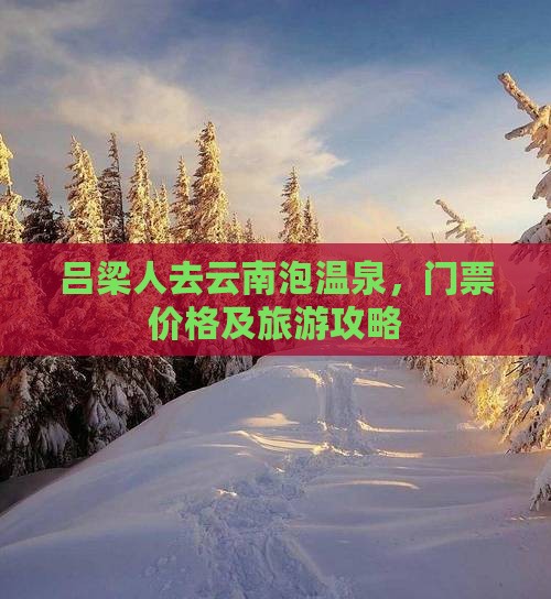 吕梁人去云南泡温泉，门票价格及旅游攻略